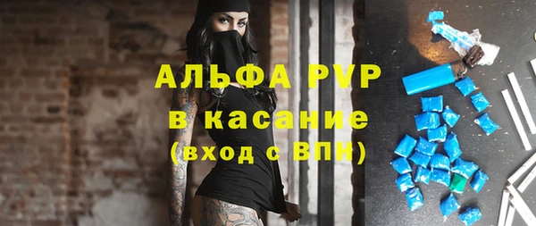 трава Арсеньев