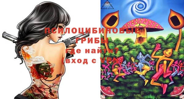 гидра Аркадак