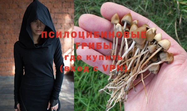 трава Арсеньев